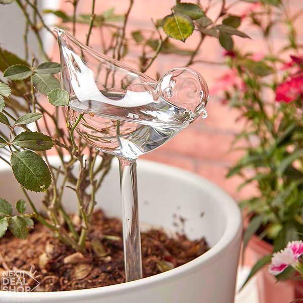 Auto-Regador em Vidro para Plantas