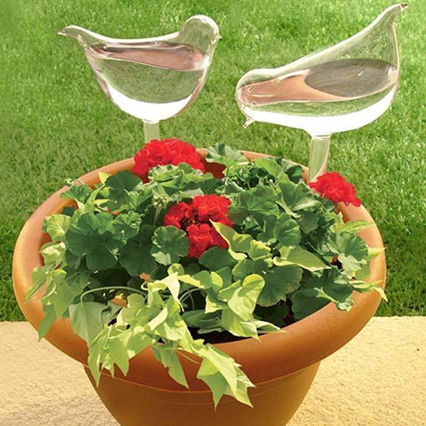 Auto-Regador em Vidro para Plantas